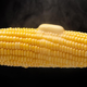 Image for article titled This Is the Easiest Way to Cook Your Summer Corn